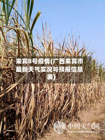 来宾8号疫情(广西来宾市最新天气实况与预报信息表)