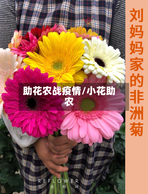 助花农战疫情/小花助农
