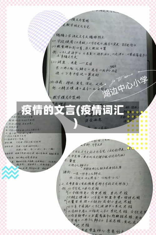 疫情的文言(疫情词汇)