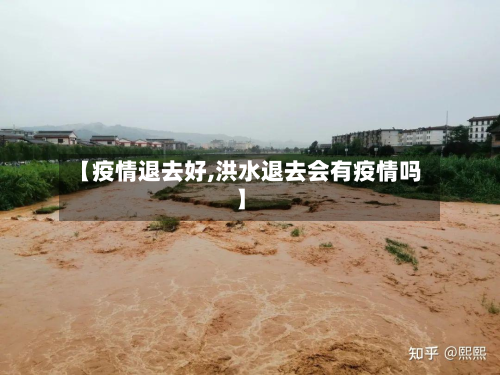 【疫情退去好,洪水退去会有疫情吗】-第2张图片