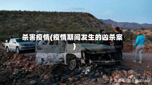 杀害疫情(疫情期间发生的凶杀案)-第2张图片