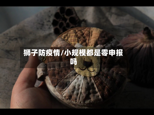 狮子防疫情/小规模都是零申报吗