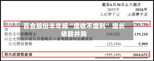 百合股份半年报“增收不增利” 增长依赖并购-第3张图片