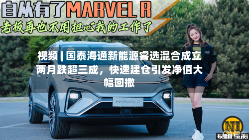 视频 | 国泰海通新能源睿选混合成立两月跌超三成，快速建仓引发净值大幅回撒-第2张图片