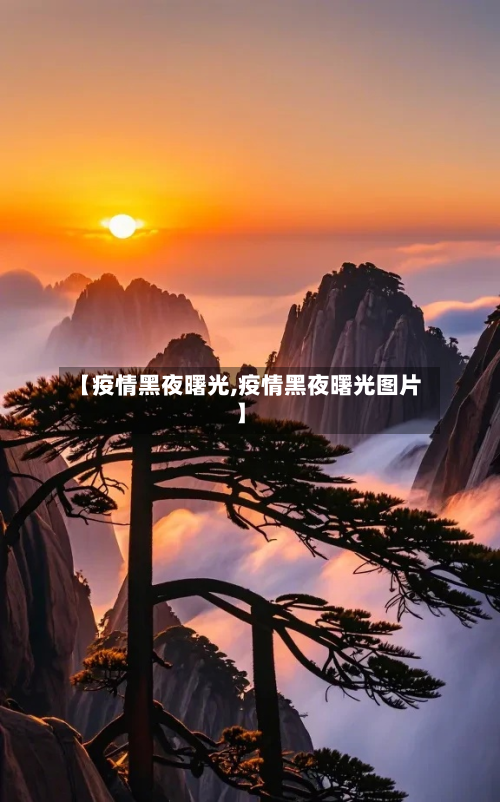 【疫情黑夜曙光,疫情黑夜曙光图片】-第2张图片