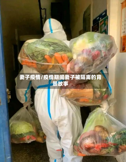 妻子疫情/疫情期间妻子被隔离的背景故事-第2张图片
