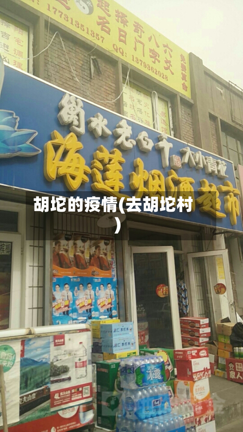 胡坨的疫情(去胡坨村)-第3张图片