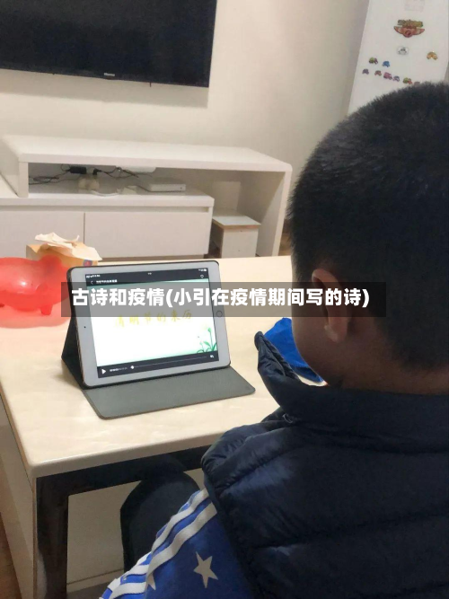 古诗和疫情(小引在疫情期间写的诗)
