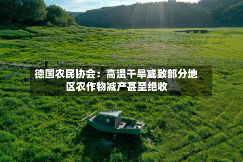 德国农民协会:高温干旱或致部分地区农作物减产甚至绝收-第3张图片