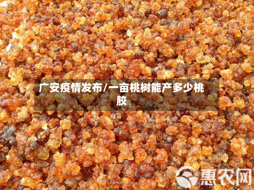 广安疫情发布/一亩桃树能产多少桃胶-第3张图片