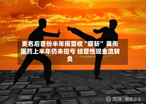 更名后首份半年报营收“腰斩	” 冀衡医药上半年仍未扭亏 经营性现金流转负-第1张图片