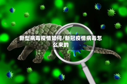 新型病毒疫情如何/新冠疫情病毒怎么来的-第3张图片