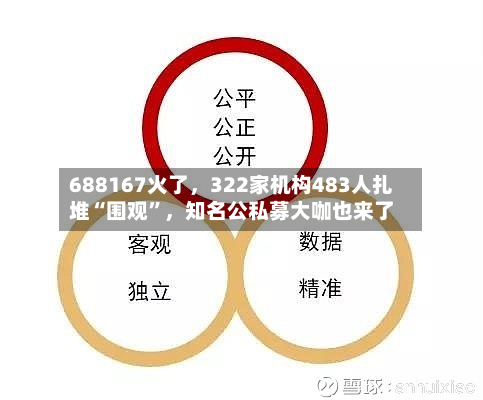 688167火了，322家机构483人扎堆“围观”	，知名公私募大咖也来了-第3张图片