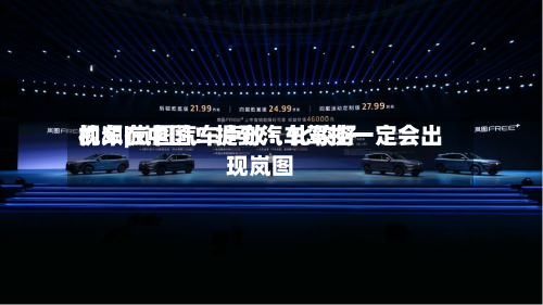 视频|岚图汽车卢放：比较好的车在中国！提到汽车驾控一定会出现岚图