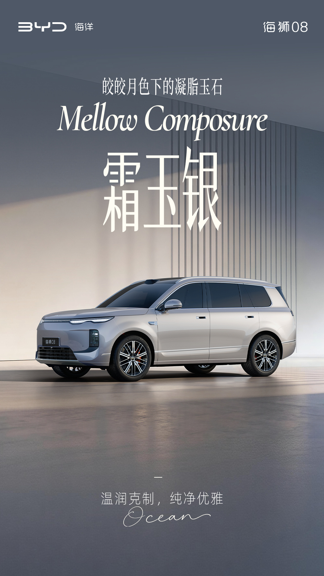 定位海洋旗舰 SUV，比亚迪公布海狮 08 多款高定车色